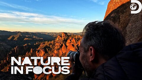 Uncovering Pinnacles National Park Nature in Focus