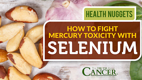 The Truth About Cancer: Health Nugget 27 - How to Fight Mercury Toxicity With Selenium
