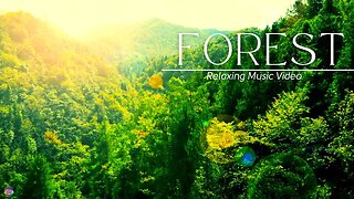 Beautiful Relaxing Music for Stress Relief Meditation Music,Sleep Music, Study Music #relaxingmusic