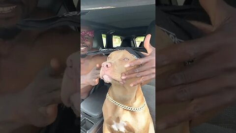 Snoop Dogg ft 2pac from a dog in uk ....