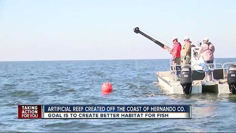 Artificial Reef created in hopes of bringing fishermen and snorkelers to Hernando County
