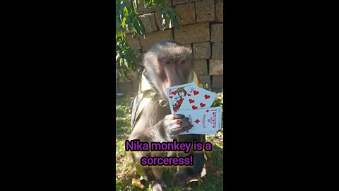 Nika monkey is a sorceress!