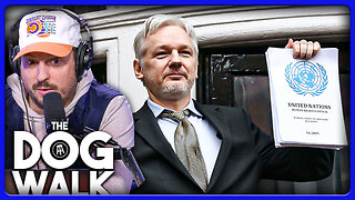 America vs Julian Assange And The Constitution