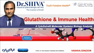 Why Glutathione - the Master Anti-Oxidant - Boosts Immunity. A CytoSolve Systems Analysis.