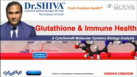 Why Glutathione - the Master Anti-Oxidant - Boosts Immunity. A CytoSolve Systems Analysis.