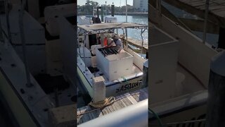 Pro Fisherman Cleaning His Catch 🎣 🛥 | Florida Living | Panama City, Florida #shorts