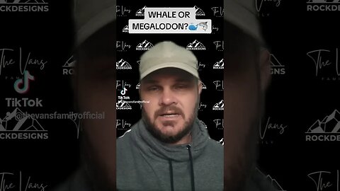 Megalodon Shark or Whale?