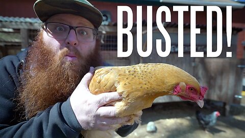 5 Chicken Myths BUSTED