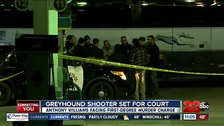 Greyhound shooter set for court