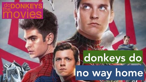 TD#8 Donkeys Review Spiderman No Way Home