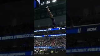 Haleigh Bryant 9.95 on Bars - 2023 NCAA gymnastics championship #shorts