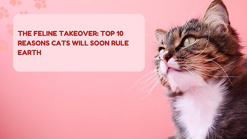 The Feline Takeover: Top 10 Reasons Cats Will Soon Rule Earth