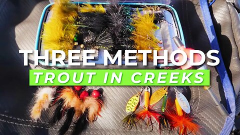 TOP 3 Trout Fishing Setups For Creeks & Rivers