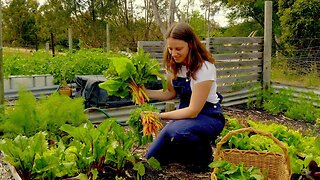 Spring Garden TIMELAPSE plus wild asparagus harvest - Free Range Homestead Ep 26