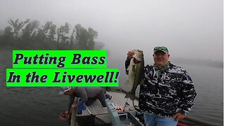 Bass Tournament, First All Electric Bass Tournament #fishing #bass