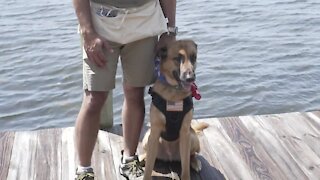 New service dog training center opening in Palm City