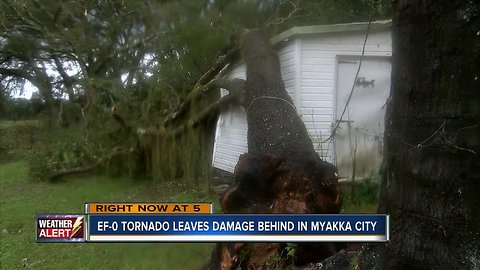 EF-0 tornado touches down in Myakka City, causing heavy damage for some homeowners