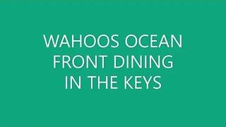 WAHOOS OCEAN FRONT, ONE OF MANY EXCELLENT OCEAN FRONT RESTAURANTS AND MARINA