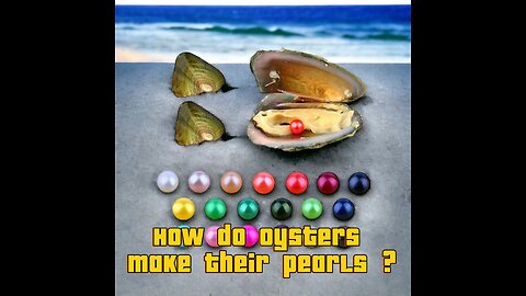 HIS IS HOW OYSTERS MAKE THEIR PEARLS.