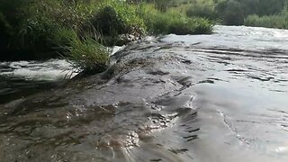 This amazingly soothing water flowing in river will calm you down