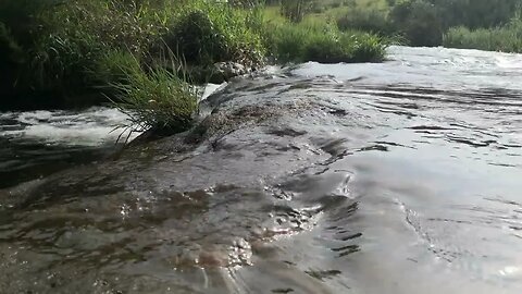 This amazingly soothing water flowing in river will calm you down