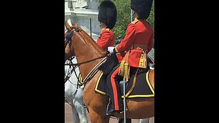 trooping the colour #buckinghampalace 8