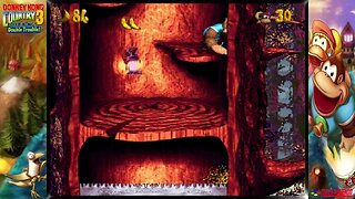 DONKEY KONG COUNTRY 3 SUPER NES #02
