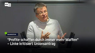 "Profite schaffen durch immer mehr Waffen" – Linke kritisiert Unionsantrag