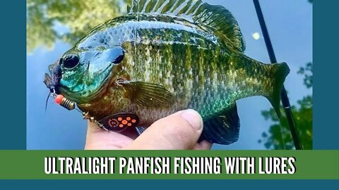 River Fishing For Panfish / Panfish Fishing With Lures / Ultralight Fishing For Bluegill