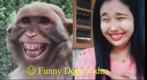 😂 Funny Dogs Video | Fake Tinger & Lion Prank with Dog