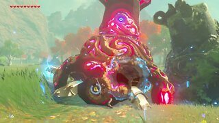 Breath of the Wild Master Mode 75