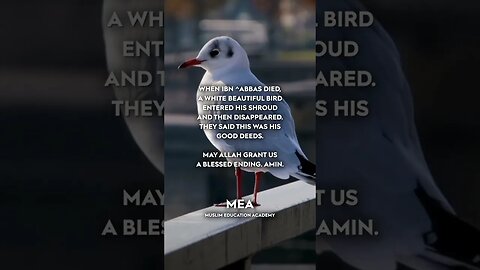 A WHITE BIRD ENTERED THE SHROUD OF IBN ABBAS - THEY SAID THIS WAS HIS GOOD DEEDS.