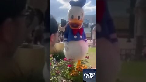 Hilarious Encounter with Donald and Daisy Duck Mascots #shorts #funny #disney #mascot