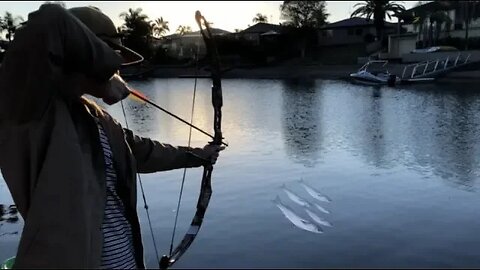 BOWFISHING mullet Catch n Cook!