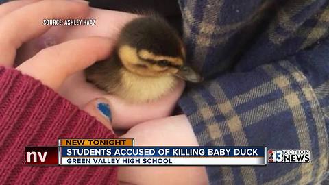 Video shows high school students killing duck