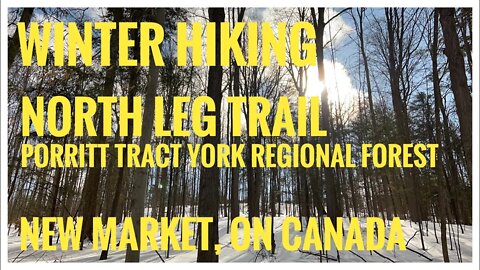 North Leg Trail | Porritt Tract | York Regional Forest | New Market, ON Canada | Hiking