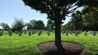 Purple Heart Honor Flight