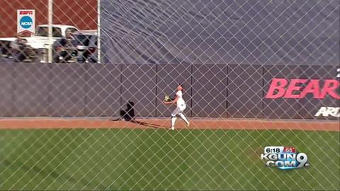 Arizona softball ready to put last season behind them