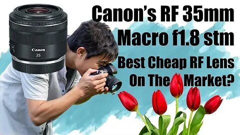 Is the RF 35mm f1 8 Macro The Best Cheap Lens in the RF Lineup?