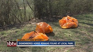 Dismembered horse remains found in disc golf course