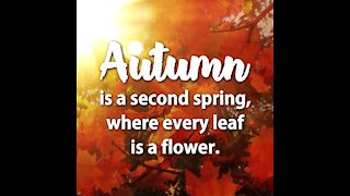 Autumn is a Second Spring [GMG Originals]