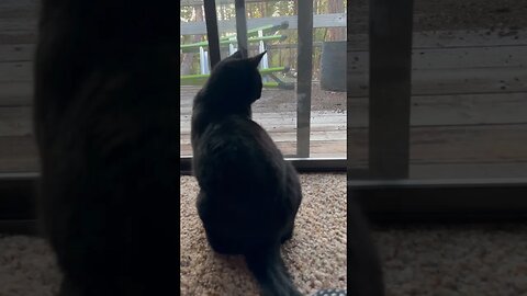 KITTY TV TIME