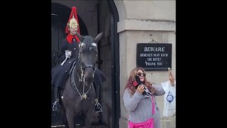 Horse bites her in the shoulder #horseguardsparade