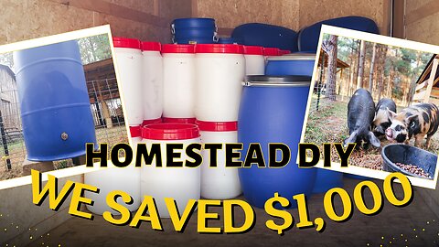 We SAVED $1000 ON DIY Pig Waterers Using FREE Barrels