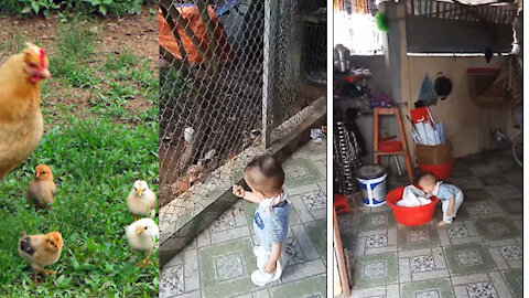 15-month-old children feed chickens.