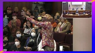 CHICAGO RESIDENT AT CITY COUNCIL MEETING - "TRUMP, COME IN HERE AND CLEAN THIS MESS UP"