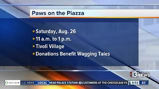 Tivoli hosts Paws on the Piazza