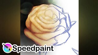 Yellow Rose Flower Speedpaint - Digital Painting in Krita