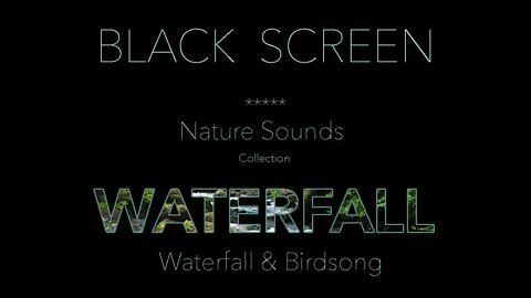 Forest Waterfall Nature Sounds for Sleep/Relaxation with Birds Singing - Black Dark Screen