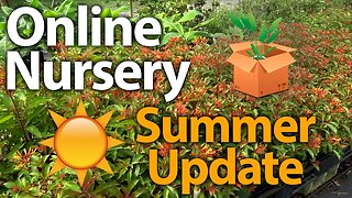 🌱🌴🌵 Shipping Plants that Thrive in the Summer! (Online Nursery Update)